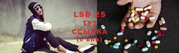 PSILOCYBIN Пересвет