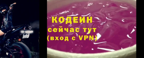 PSILOCYBIN Пересвет