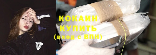 PSILOCYBIN Пересвет