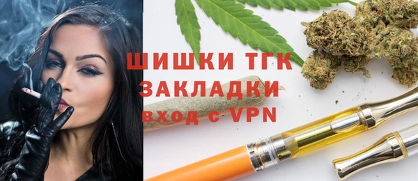 PSILOCYBIN Пересвет