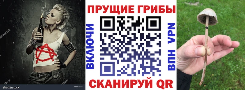 ОМГ ОМГ ссылка  Орёл  Псилоцибиновые грибы Cubensis 